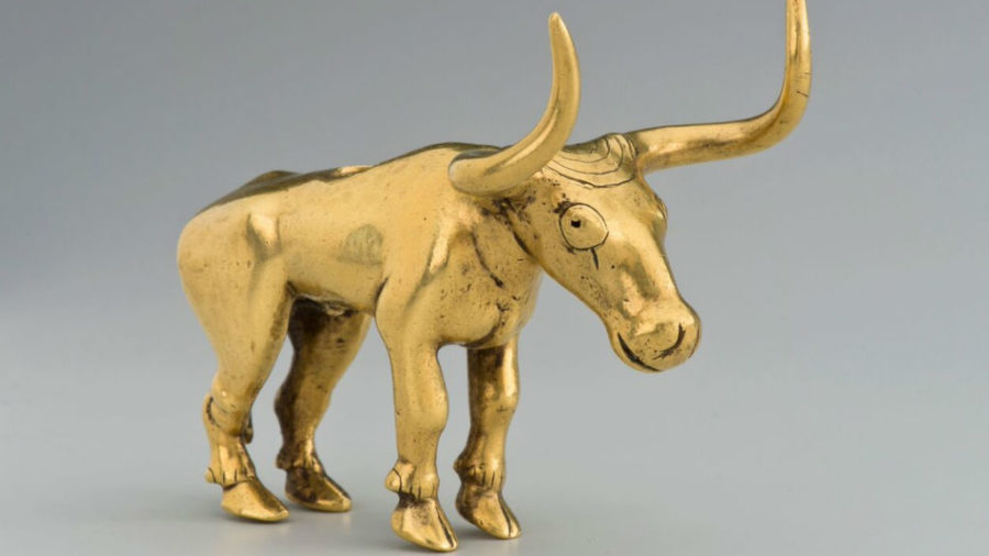 Toro, mostra Eurasia