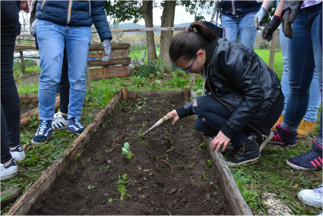 Pontecagnano, parco InVita, Ecobox