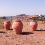 Vino in anfora, crowdfunding