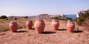 Vino in anfora, crowdfunding