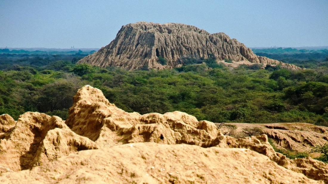 bosque pomac, ecoturismo, archeologia