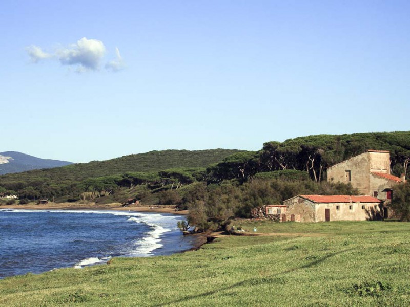 Uomo sepolto in catene sulla spiaggia di Baratti: una nuova straordinaria scoperta nell’etrusca Populonia