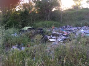 Degrado e lavori dei cittadini al Parco di Centocelle