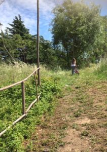 Degrado e lavori dei cittadini al Parco di Centocelle