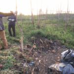 Degrado e lavori dei cittadini al Parco di Centocelle