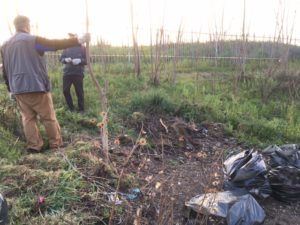 Degrado e lavori dei cittadini al Parco di Centocelle