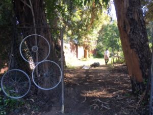 Degrado e lavori dei cittadini al Parco di Centocelle