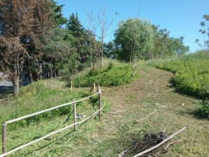 Degrado e lavori dei cittadini al Parco di Centocelle