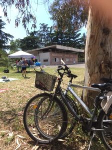 Degrado e lavori dei cittadini al Parco di Centocelle