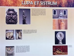 Scuola di integrazione. Lupa et sistrum