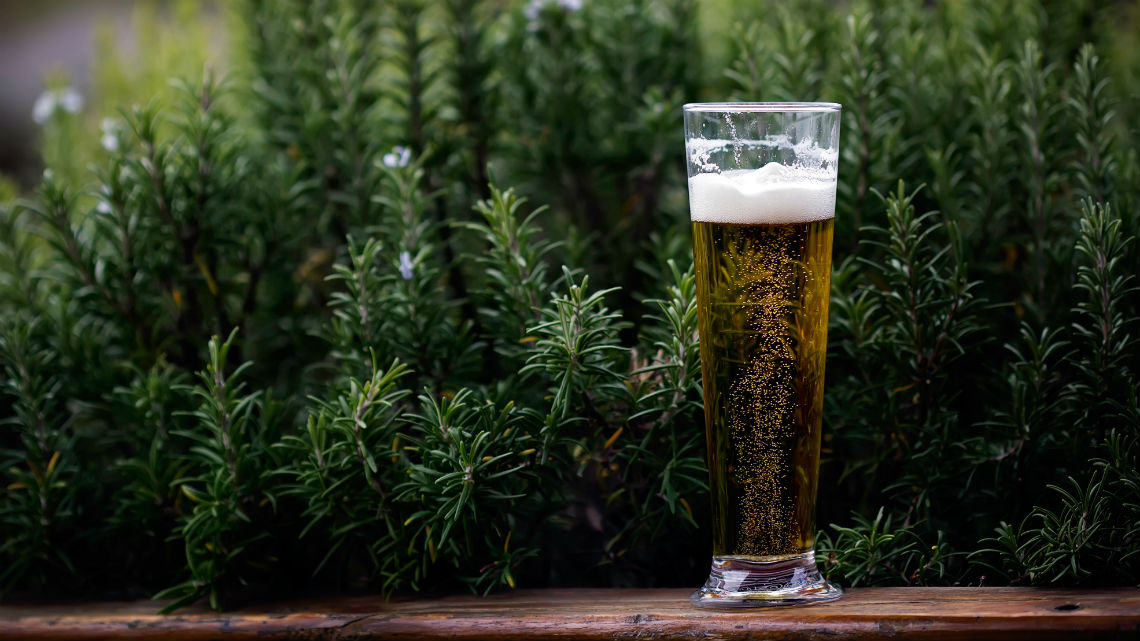 La birra più antica del mondo ha 13.000 anni