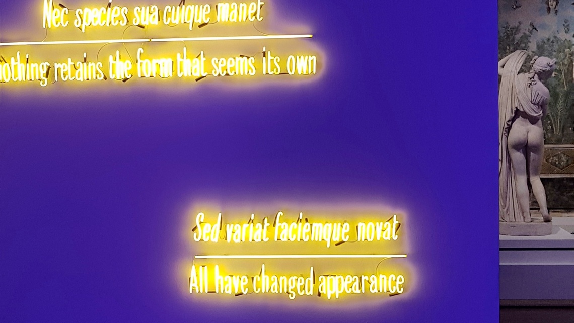 Mostra Ovidio, Kosuth e Venere Callipigia