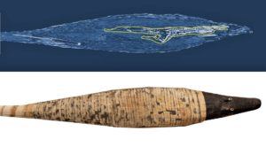 archeologia invisibile coccodrillo