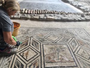 pulitura mosaico del Cervo