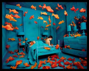 SANDY SKOGLUND Palazzo Magnani