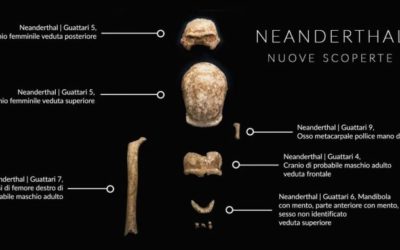 Grotta Guattari: a tu per tu con i Neandertal