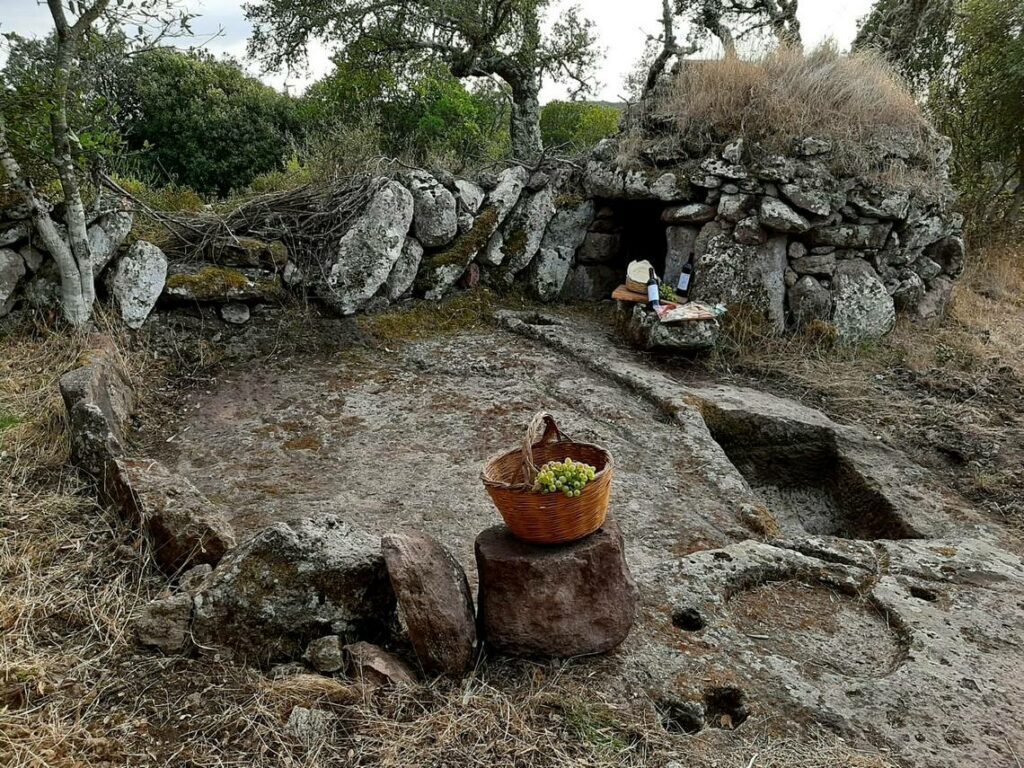 Palmenti foto vincitrice